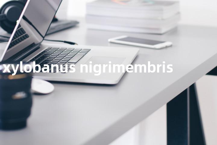 xylobanus nigrimembris单词图解，单词释义场景配图