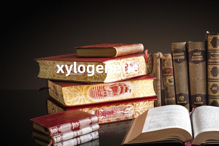 xylogenetic单词图解，单词释义场景配图