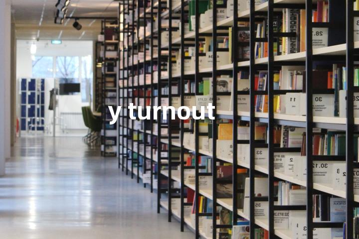 y turnout单词图解，单词释义场景配图