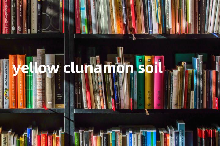 yellow clunamon soil单词图解，单词释义场景配图
