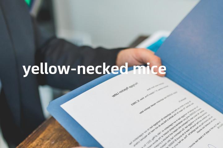 yellow-necked mice单词图解，单词释义场景配图