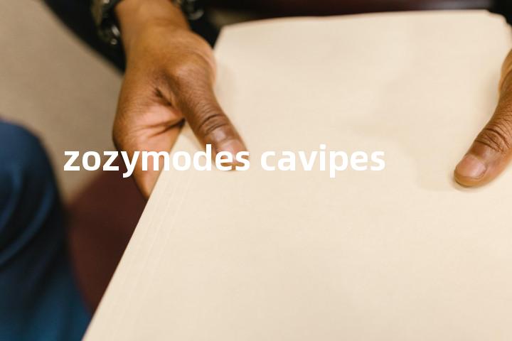 zozymodes cavipes单词图解，单词释义场景配图