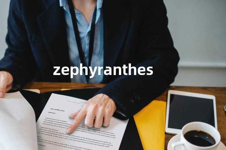 zephyranthes单词图解，单词释义场景配图