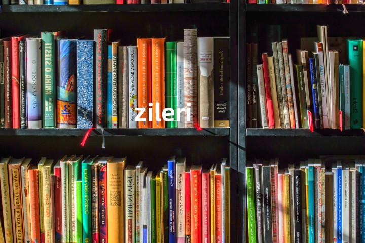 zileri单词图解，单词释义场景配图