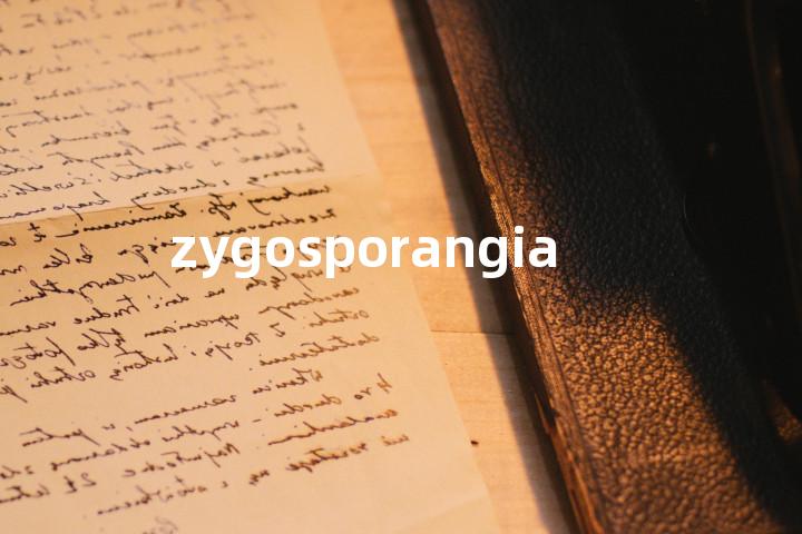 zygosporangia单词图解，单词释义场景配图