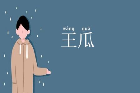 王瓜