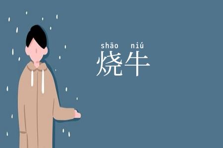 烧牛