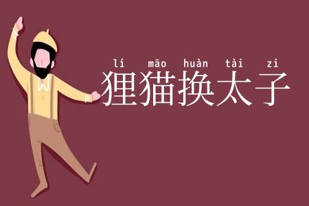 狸猫换太子