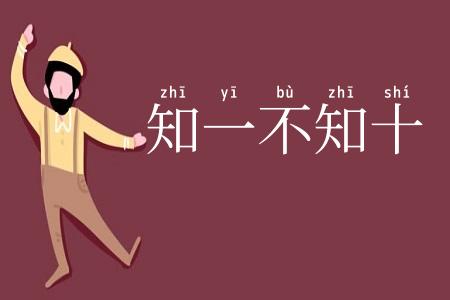 知一不知十