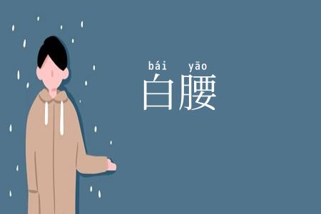 白腰