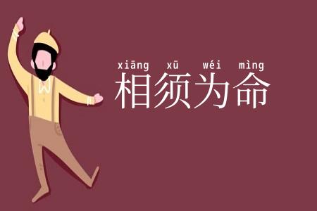 相须为命