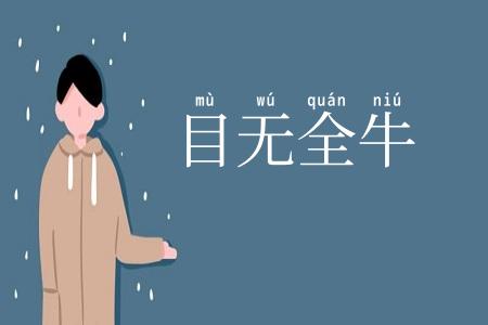 目无全牛