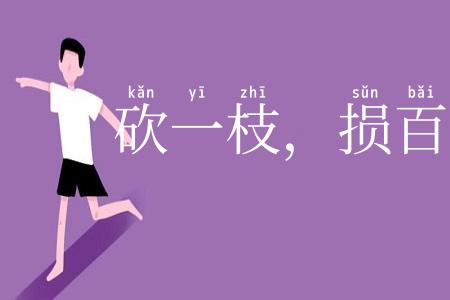 砍一枝，损百枝