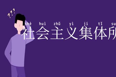 社会主义集体所有制