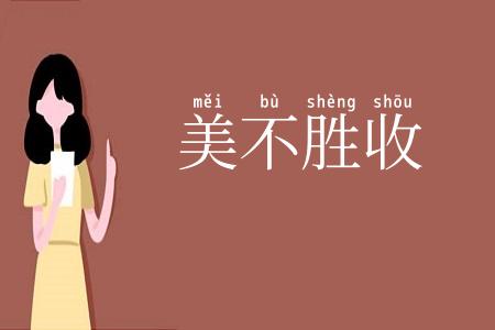 美不胜收