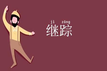继踪