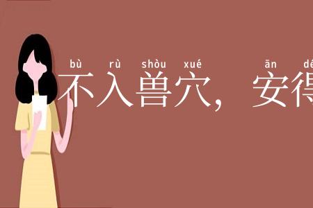 不入兽穴，安得兽子