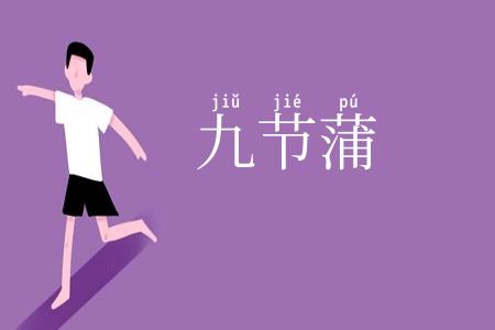 九节蒲