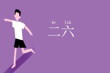 二六