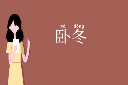 卧冬