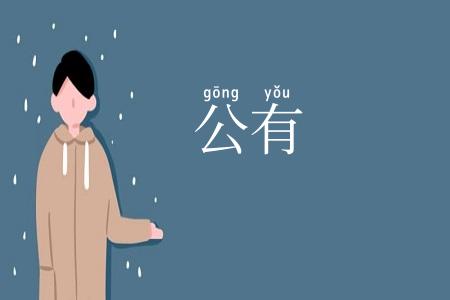 公有