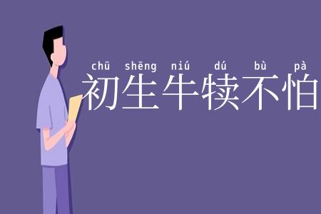 初生牛犊不怕虎
