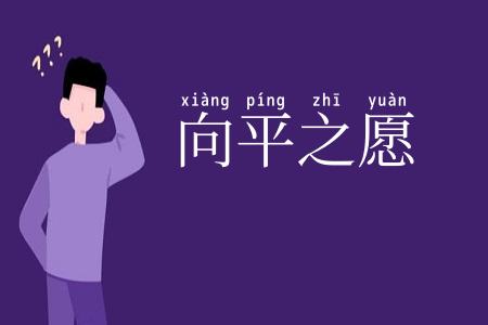 向平之愿