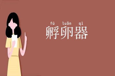 孵卵器