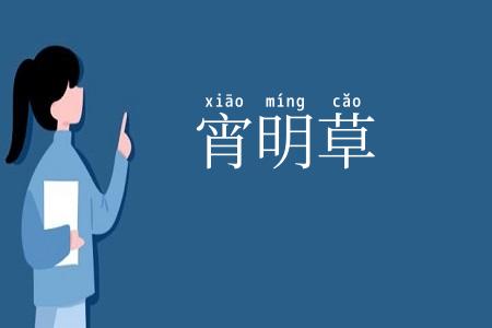 宵明草