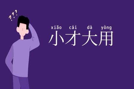 小才大用