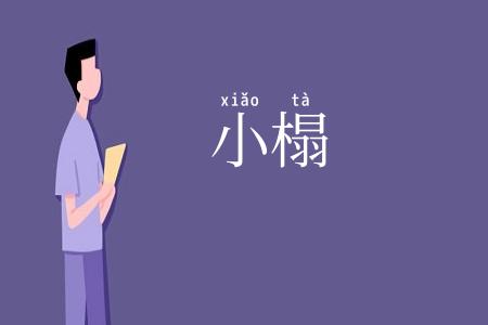 小榻