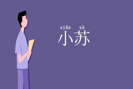 小苏
