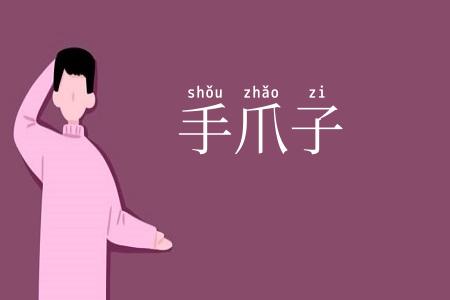 手爪子