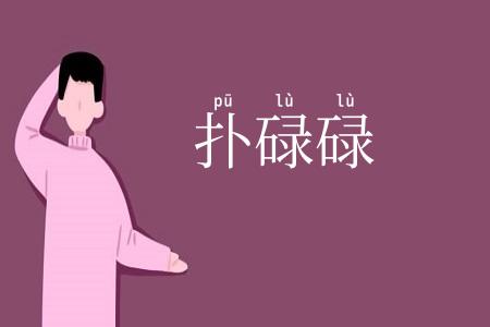 扑碌碌