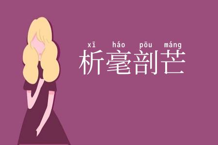 析毫剖芒