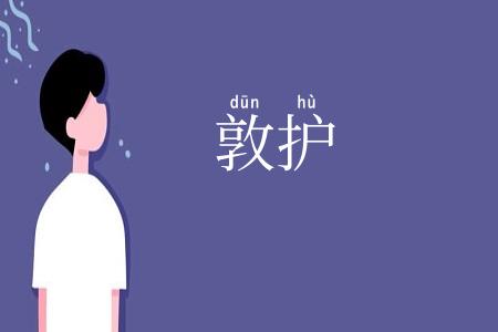 敦护