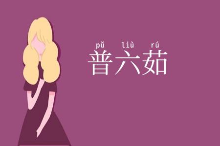 普六茹