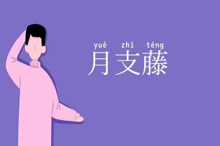 月支藤