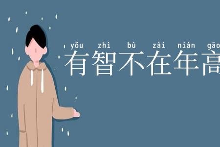 有智不在年高