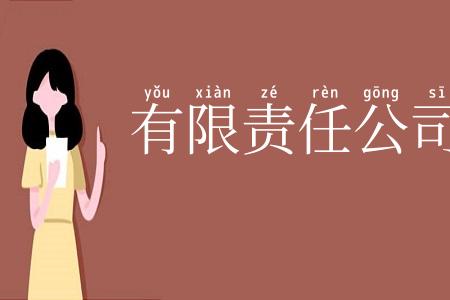 有限责任公司
