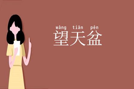 望天盆