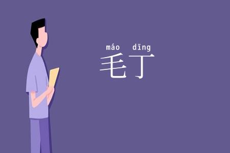 毛丁