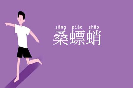 桑螵蛸