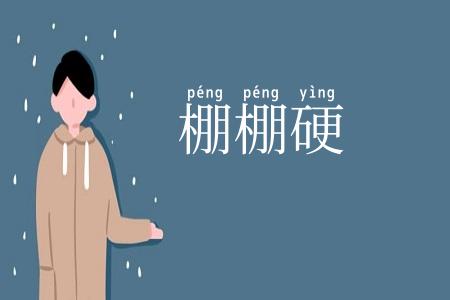 棚棚硬