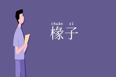 椽子
