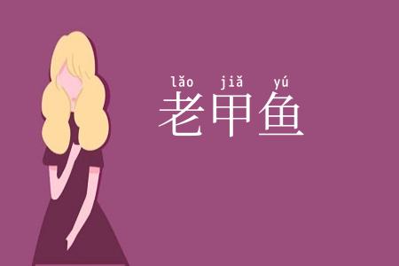 老甲鱼