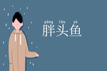 胖头鱼