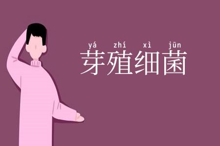 芽殖细菌