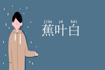 蕉叶白