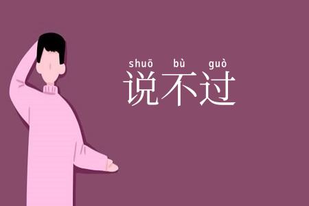 说不过